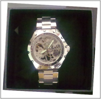 Stylish See-Thru Stainless Steel Semi-Automatic Mechanical Wristwatch